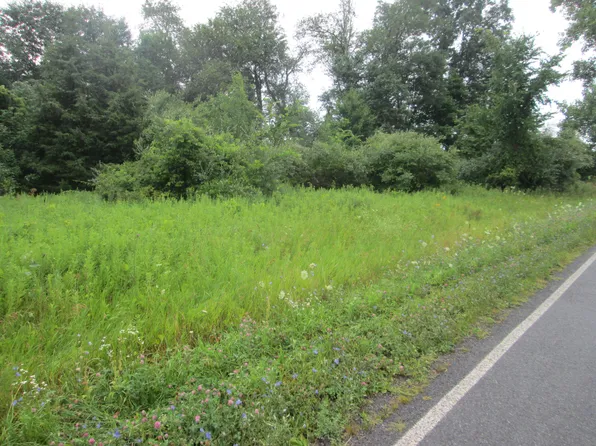 0 W Muskrat Rd, Sidney, MI 48885