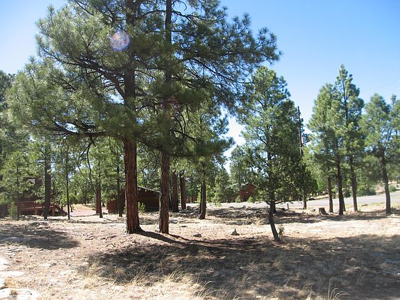 4th image of 5288 Bald Eagle Way