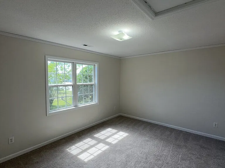 206 Faison Ln — Photo 12