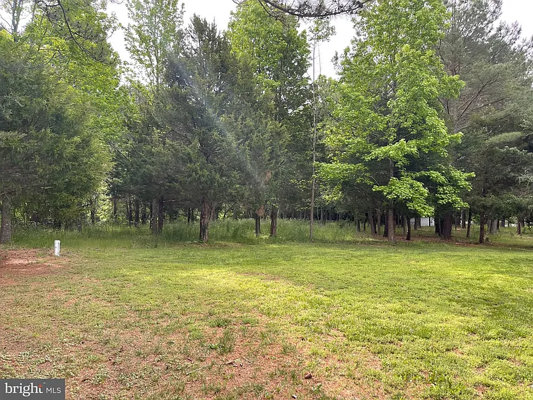 18162 White Tail Way — Photo 25