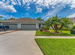 31900 Turkeyhill Dr, Wesley Chapel, FL 33543