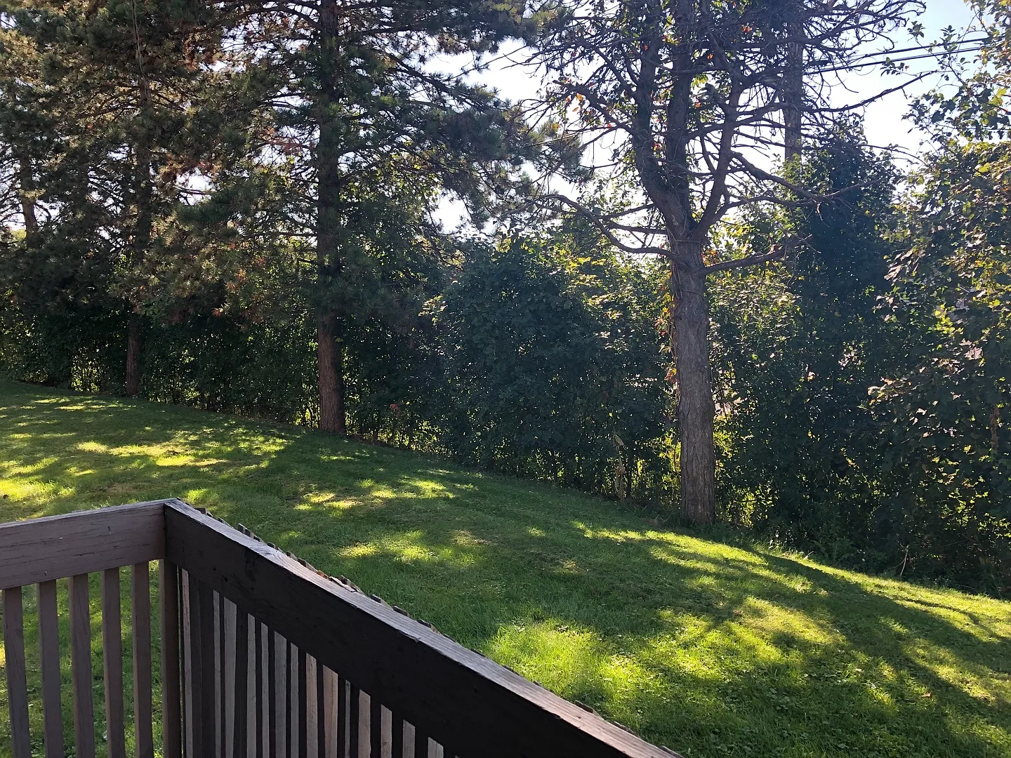 519 Schaffer Ave. — Photo 4