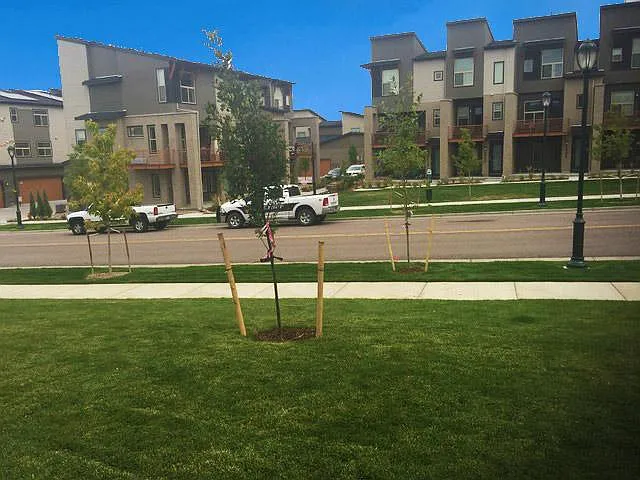 Open Space + Pocket Park at Front Door