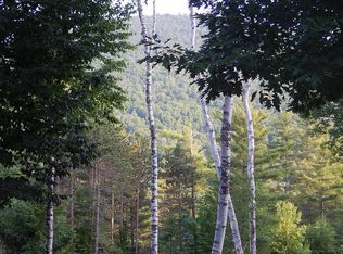 1893 Stony Creek Rd, Athol, NY 12810