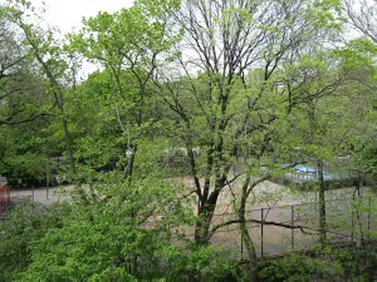 Rented by Tower Brokerage | media 14