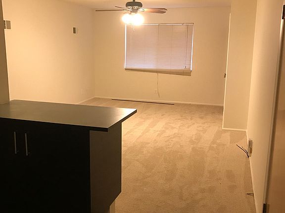 Living Room, Ceiling Fan, Dividing Bar, Coat Closet
