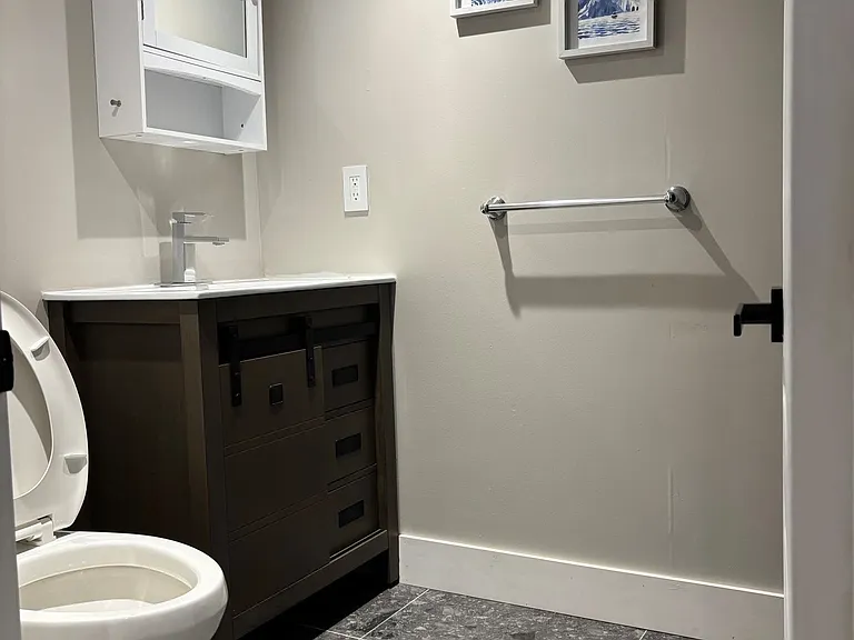 60 Wood Rim Dr #BASEMENT — Photo 11