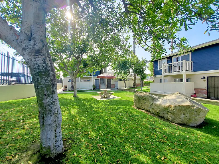 Palm Villas Apartments — Photo 6