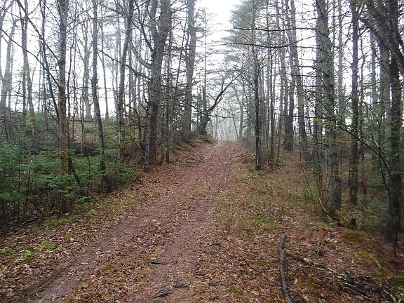 5th image of 001 Sand County Road #98