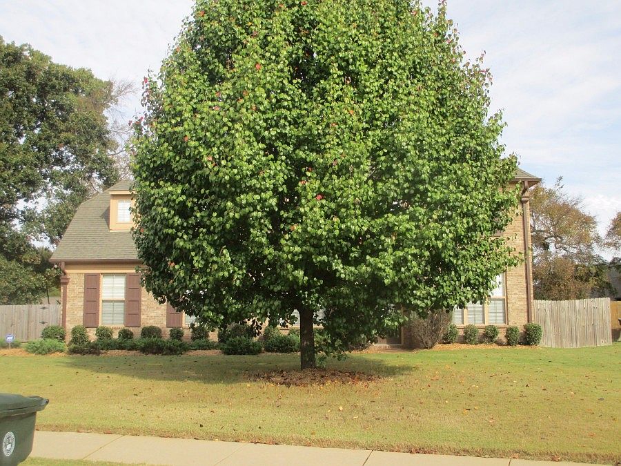 1st image of 7638 Barker Woods Cv W