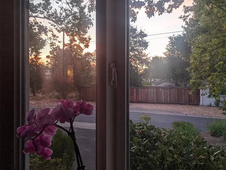 Sunrise from dining room window