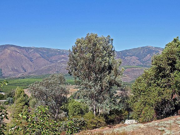 5th image of 15421 Pauma Valley Dr