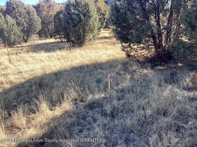 LOT 225 Antler Dr, Alto, NM, 88312