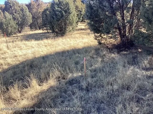 LOT 225 Antler Dr, Alto, NM 88312