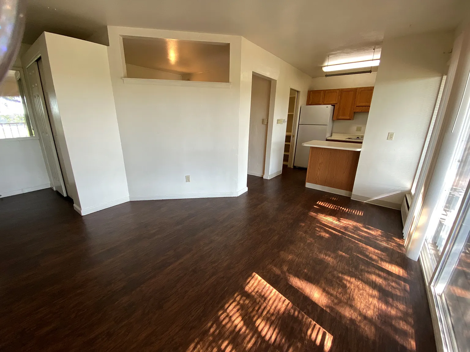 1 bed, 378 sqft, $1,250 — Photo 3