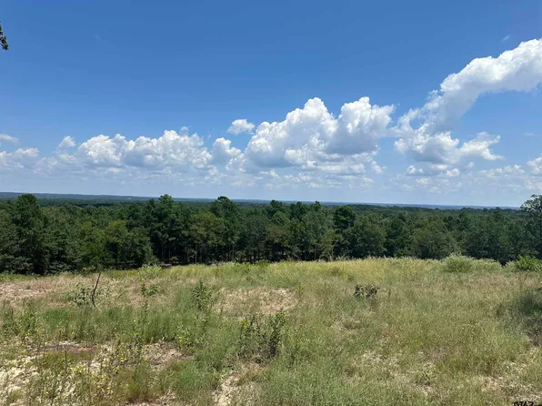 10791 County Road 3407, Brownsboro, TX 75756