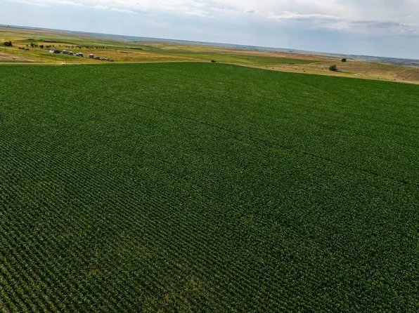 300th Ave, Presho, SD 57568