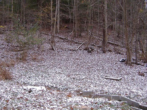 Hardwood on property
