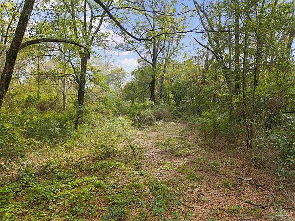 4th image of 7725 Elrod Rd