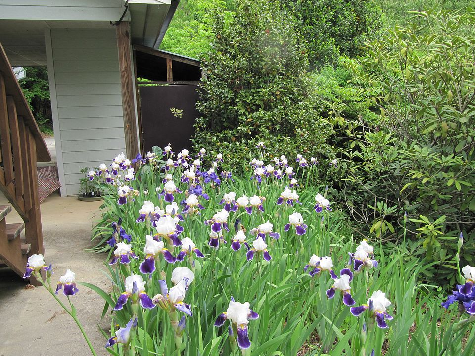 A gardeners paradise