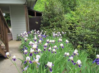 55 Pinecrest Way, Clyde, NC 28721