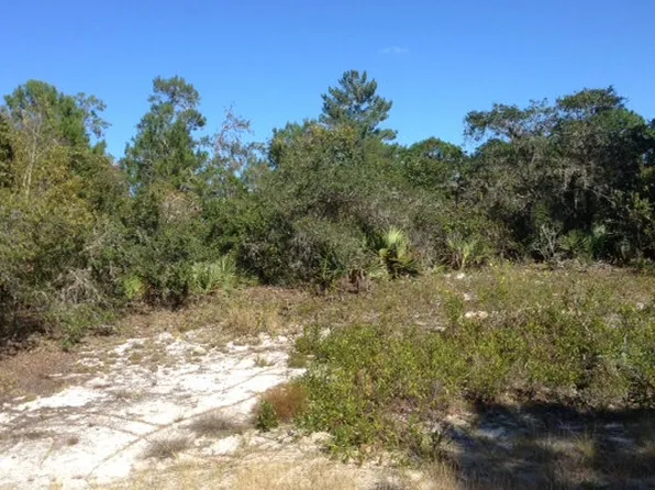 513 Devotion Dr, Lake Placid, FL 33852