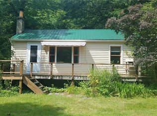 332 Island Rd, Downsville, NY 13755