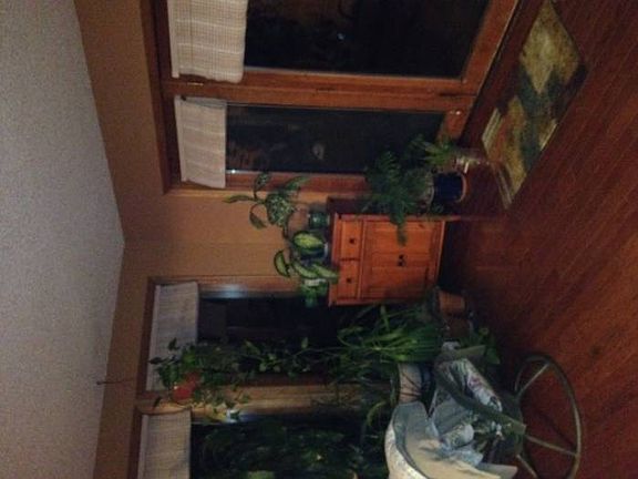 Front Door & Side Windows