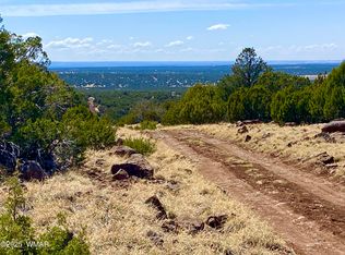 74 County Road 8056, Concho, AZ 85924