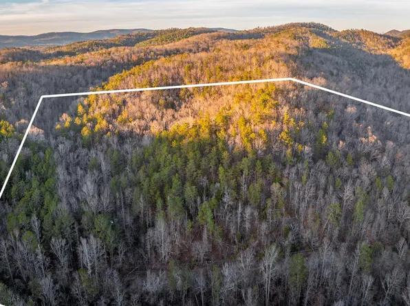 1004 Rabbittown Rd #0, Piedmont, AL 36272