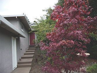 1st image of 533 Clubhouse Dr