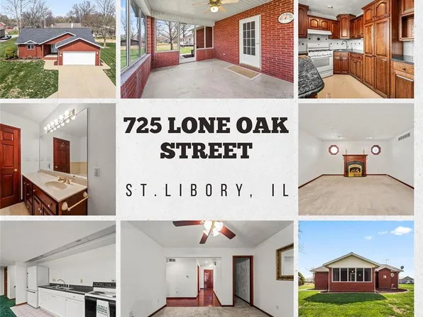 725 Lone Oak St, Saint Libory, IL 62282