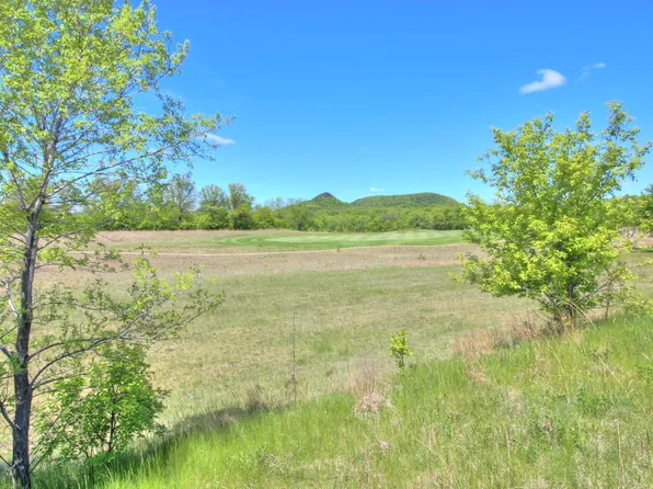 905 Hidden Meadow Ln, Lake City, MN 55041
