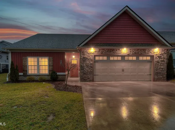 383 Harps Ln, Gray, TN 37615