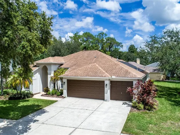 10601 Keswick Pl, Tampa, FL 33626