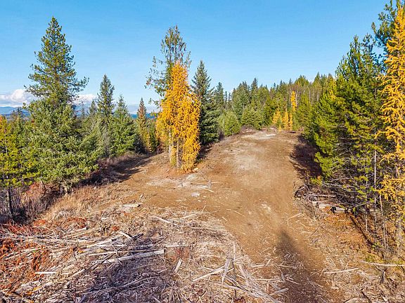 5th image of Nka Hwy #31