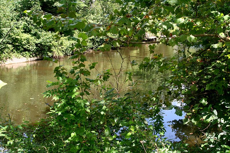 Water Front Lot