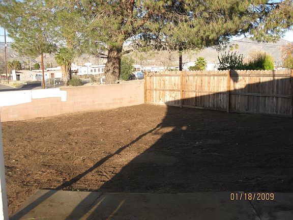 Back Yard 1