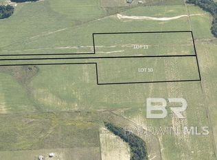 0 County Road 91 LOT 11, Elberta, AL 36530