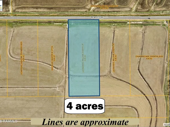 0 Branch Hwy #8, Branch, LA 70516