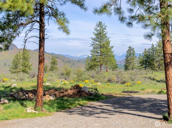 62 Benson Creek Drive, Twisp, WA 98856