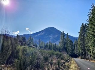 W King Rd, Blue River, OR 97413
