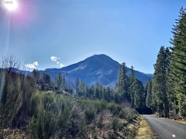 W King Rd, Blue River, OR 97413