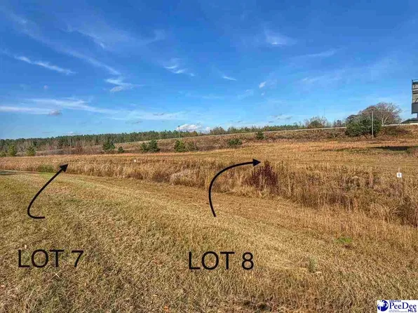 LOT 7 Mallory Beach Rd, Latta, SC 29565