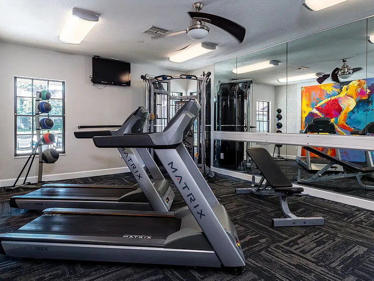 Our fitness center is a vibrant space with modern exercise equipment, including treadmills, weight machines, and more.