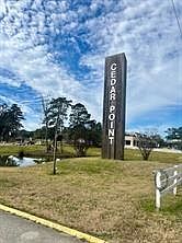 2nd image of Apple Tree