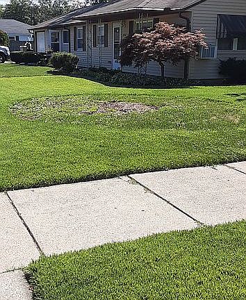 3rd image of 2402 Wilson Ave