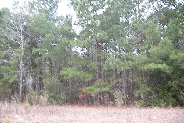 2nd image of 318 Frolic Meadows Ln