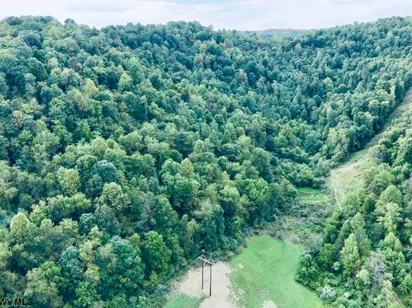 Crabapple Run Rd, Mannington, WV 26582