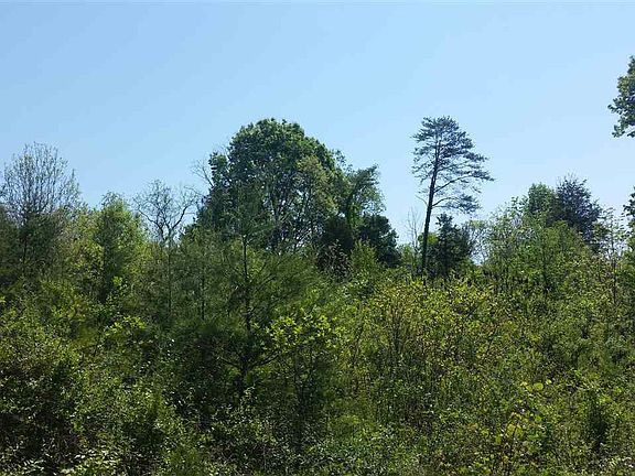 3rd image of 159 Flatwood Ln